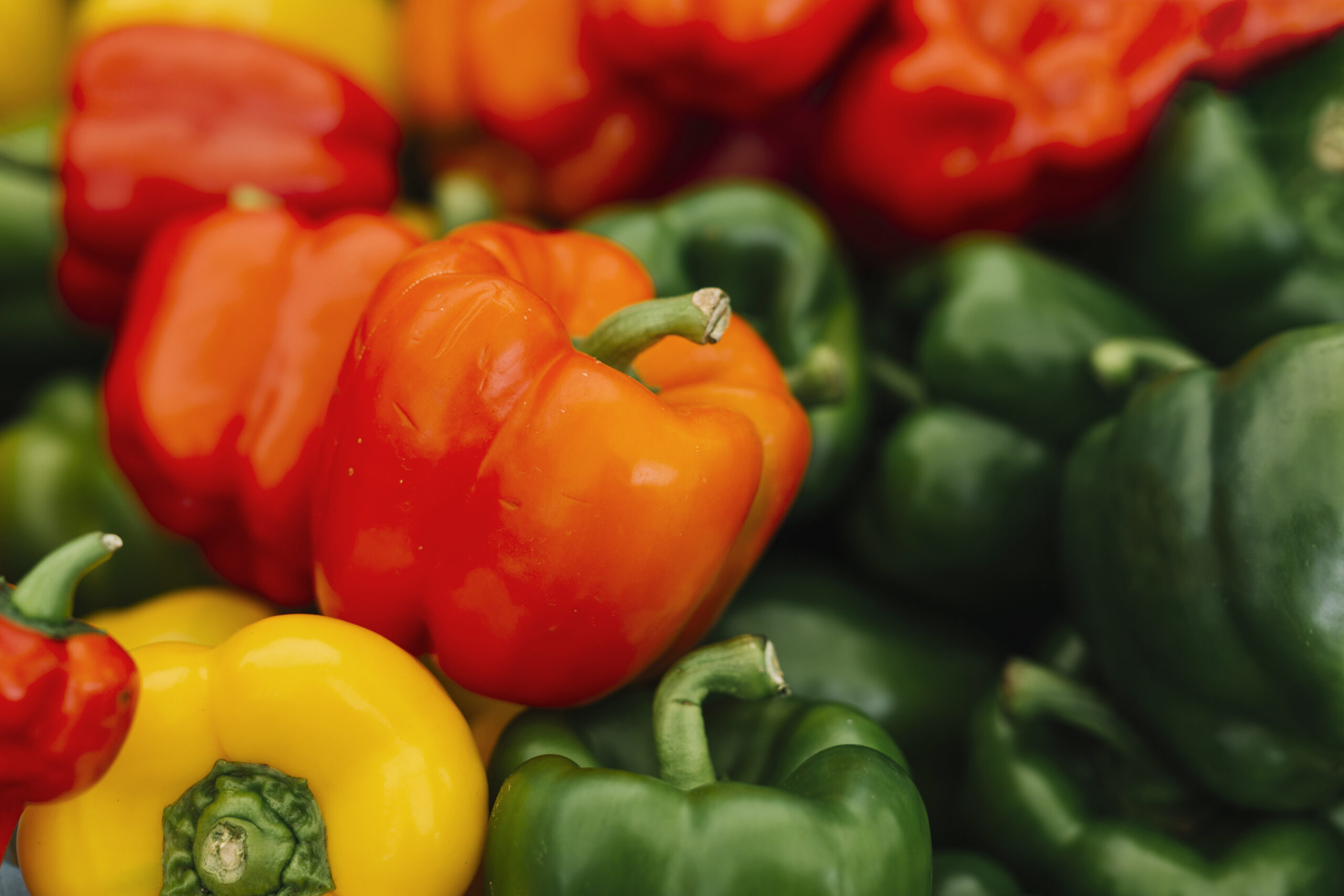 close-up-red-yellow-green-bell-peppers