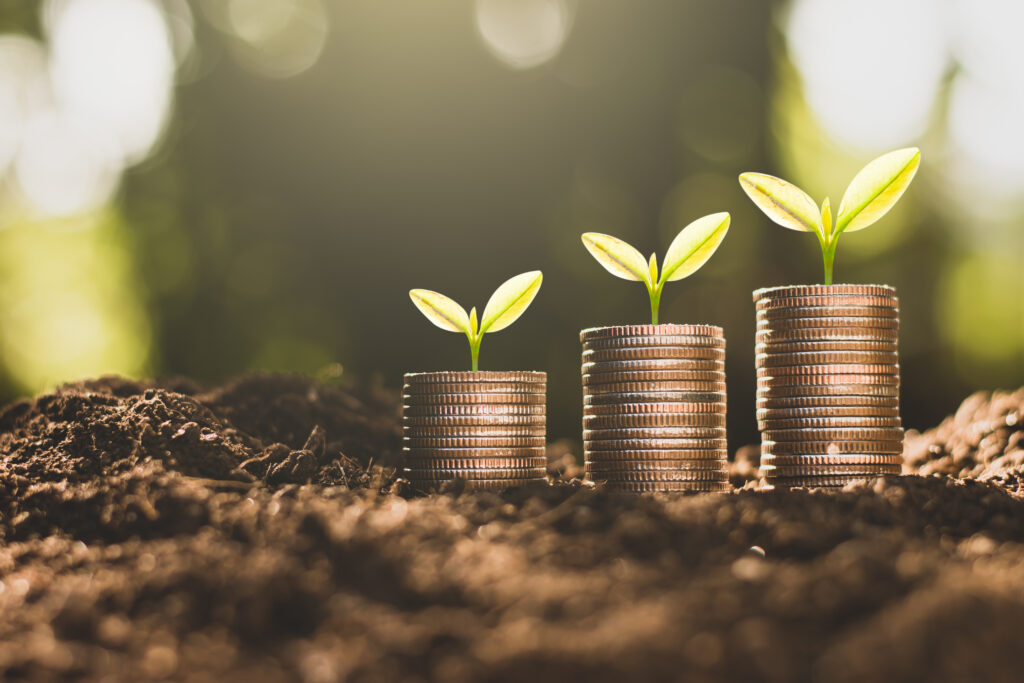 The coins are stacked on the ground and the seedlings are growing on top.