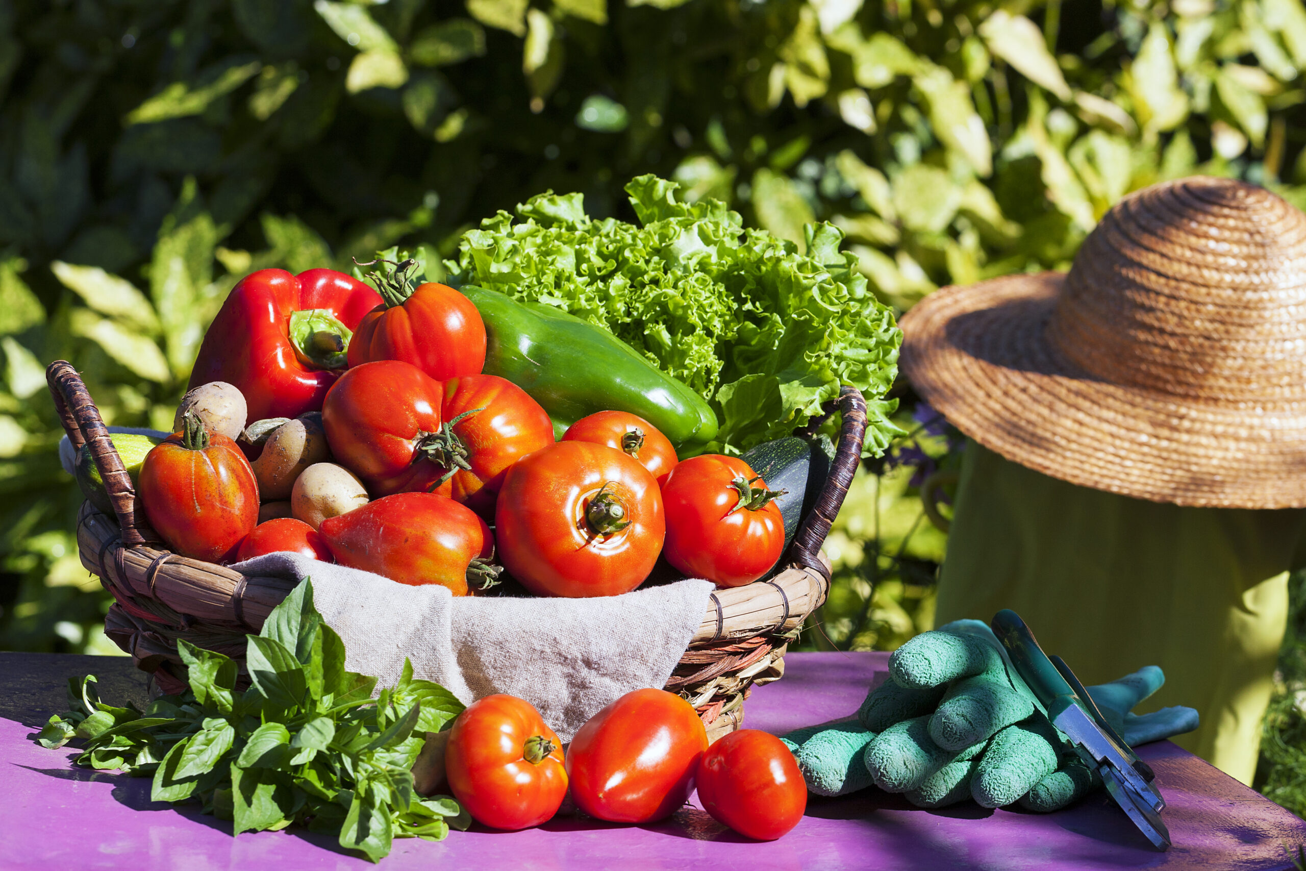 Vegetables in a basket under the sunlight